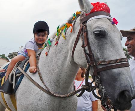 festival_de_equoterapia_20141210_1863822830